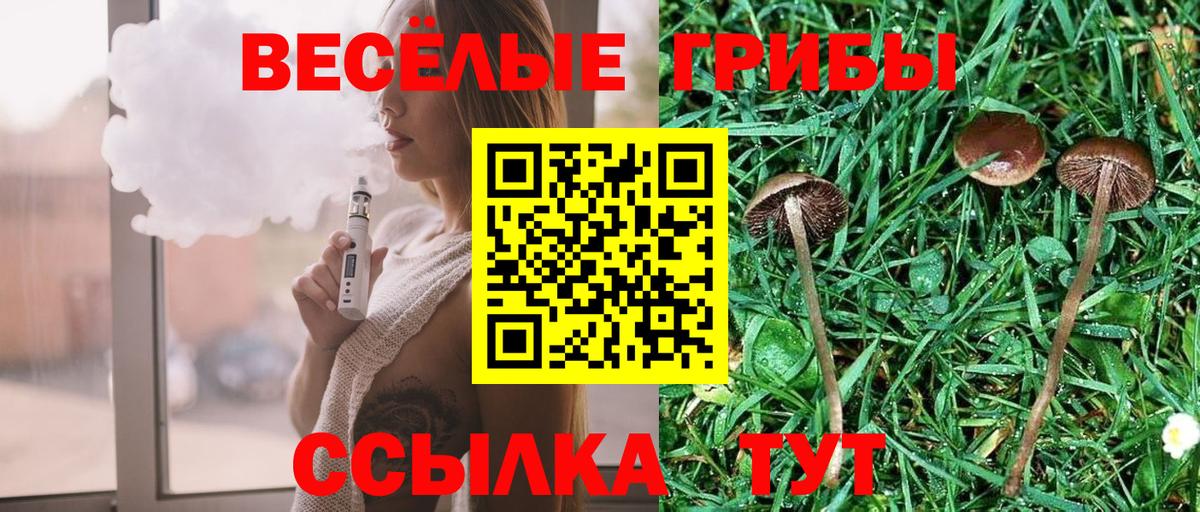 Псилоцибиновые грибы Psilocybe  Вход с VPN  Котовск  Галлюциногенные грибы Magic Shrooms 
